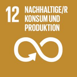 12. Verantwortungsvolle Konsum- und Produktionsmuster